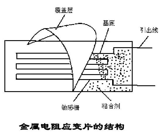 金屬電阻應變片的內部結構.jpg